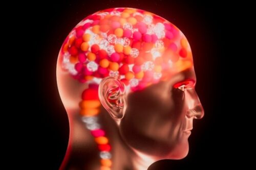 Brain Illumination